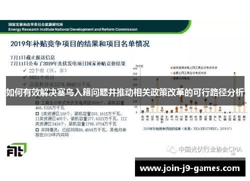 如何有效解决塞鸟入籍问题并推动相关政策改革的可行路径分析