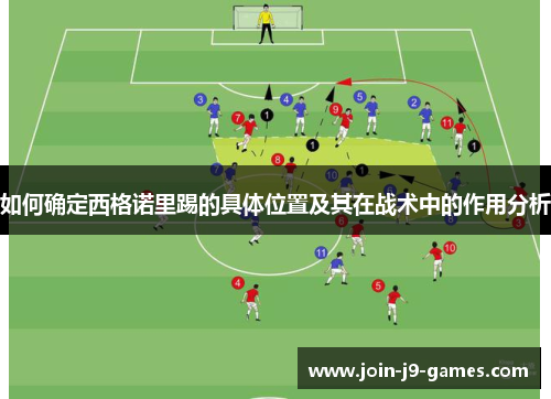 如何确定西格诺里踢的具体位置及其在战术中的作用分析