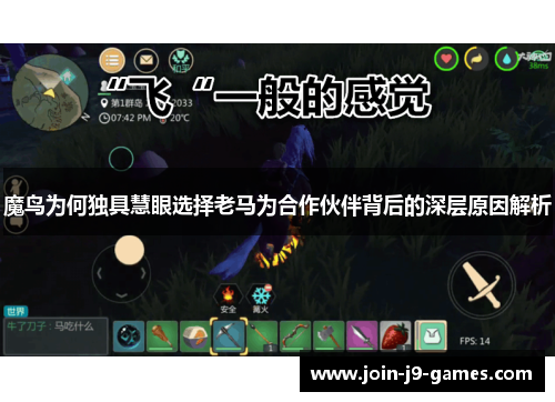 魔鸟为何独具慧眼选择老马为合作伙伴背后的深层原因解析